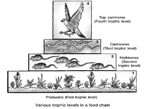 Class-7-Science-Our-Environment-Notes-3