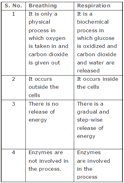 Class-7-Science-Respiration-in-Organisms-Notes-1