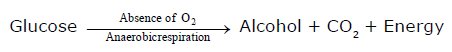 Class-7-Science-Respiration-in-Organisms-Notes-3