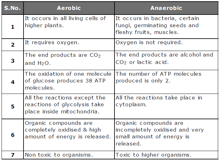 Class-7-Science-Respiration-in-Organisms-Notes-4
