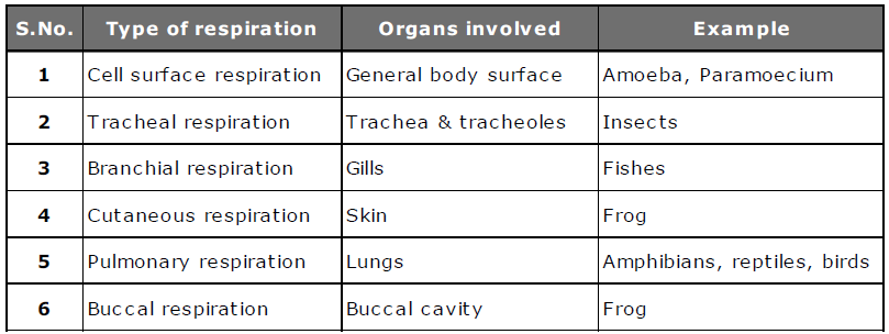 Class-7-Science-Respiration-in-Organisms-Notes-8
