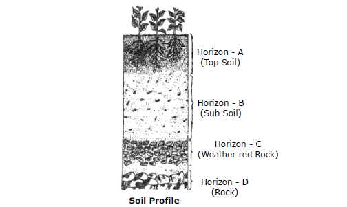 Class-7-Science-Soil-Notes-Set-B-1