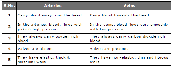 Class-7-Science-Transportation-in-Animals-and-Plants-Notes-Set-B-4