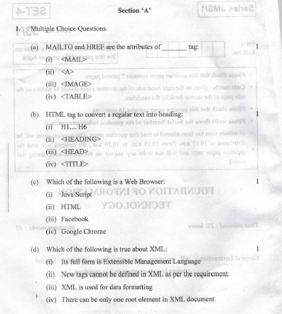 CBSE Class 10 Foundation of Information Technology Question Paper Solved 2019 Set B