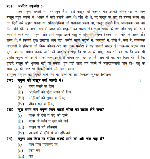 CBSE Class 10 Hindi Sample Paper 2012 (4)
