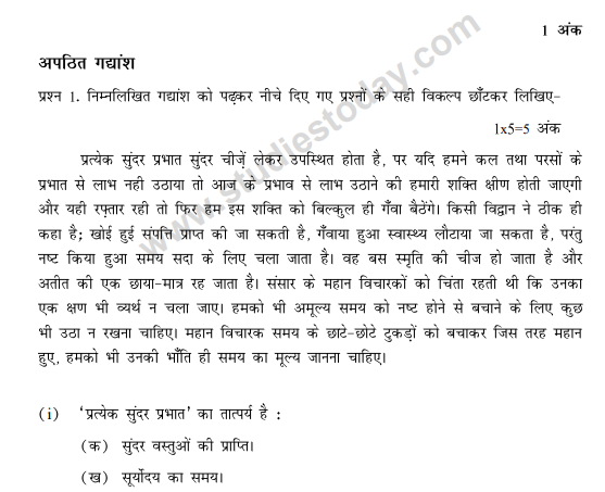 CBSE Class 10 Hindi Sample Paper 2013 (5)