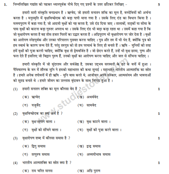 CBSE Class 10 Hindi Sample Paper 2014 (11)