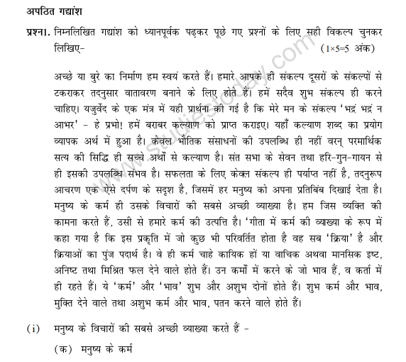 CBSE Class 10 Hindi Sample Paper 2014 (17)