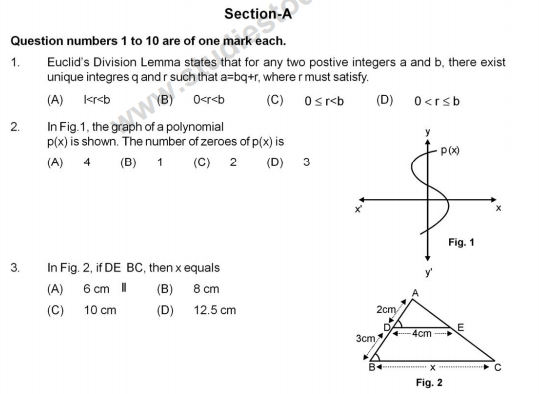 CBSE Class 10 Mathematics Sample Paper 2013 (17)
