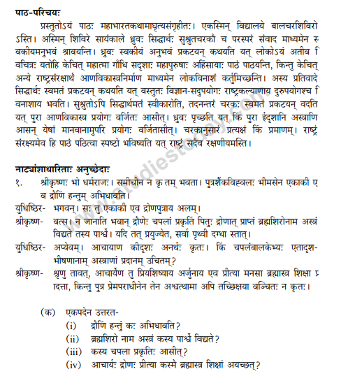 CBSE Class 10 Sanskrit Sample Paper 2013 (6).