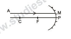 CBSE Class 10 Science Sample Paper 2014 (20)