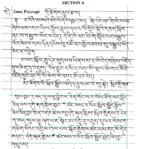 CBSE Class 10 Tibetan Question Paper Solved 2019