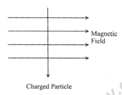 CBSE Class 12 Science Question PaperSA 1