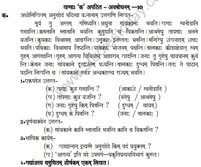 CBSE_Class_8_Sanskrit_Sample_Paper_3