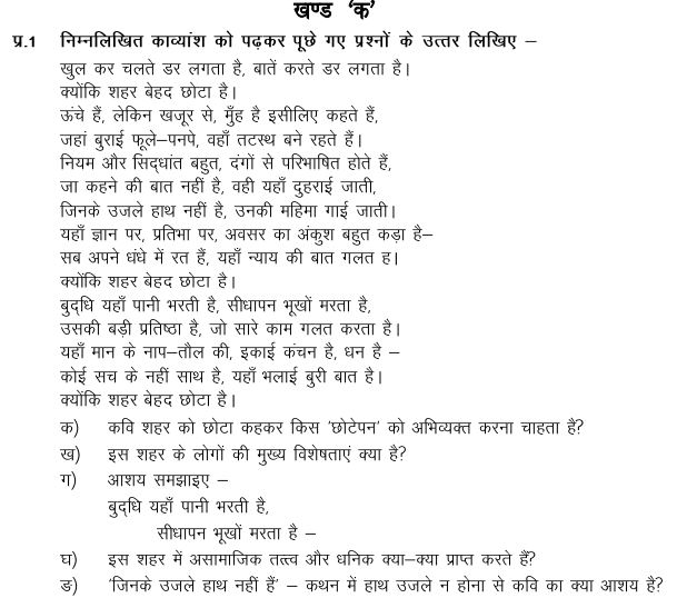 Class_11_Hindi_Sample_Papers_12