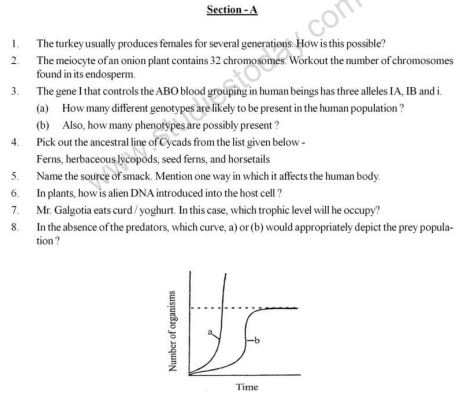 Class_12_Accountancy_Sample_Papers_10