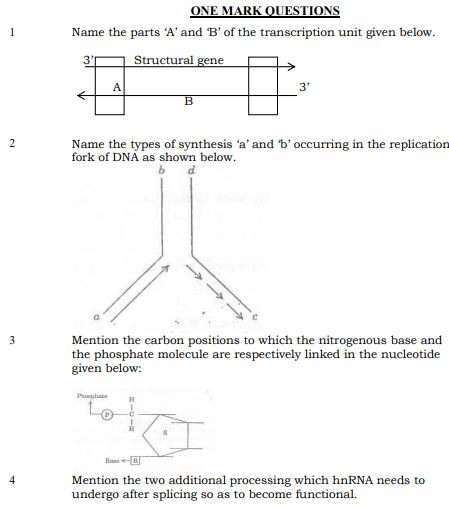 Class_12_Biology _Worksheet_4.