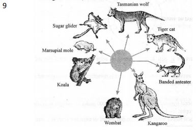 Class_12_Biology _Worksheet_6