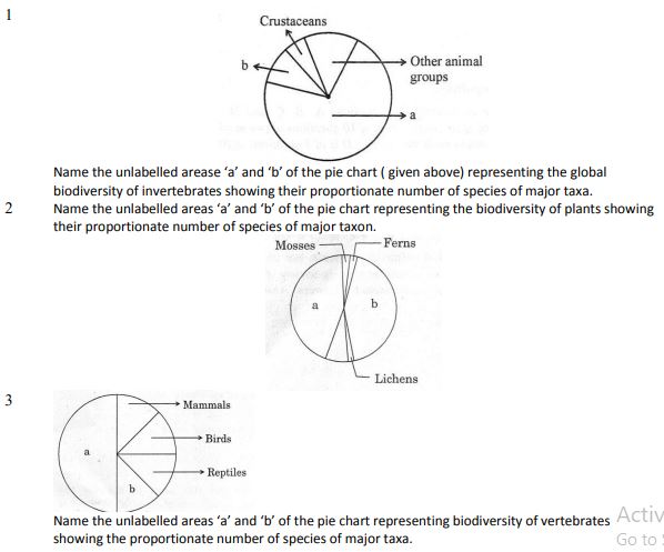 Class_12_Biology _Worksheet_8