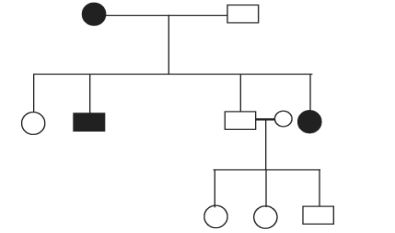 Class_12_Biology_Sample_Papers_2