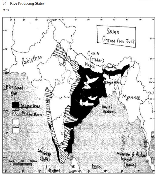 Class_12_Geography_Worksheet_10