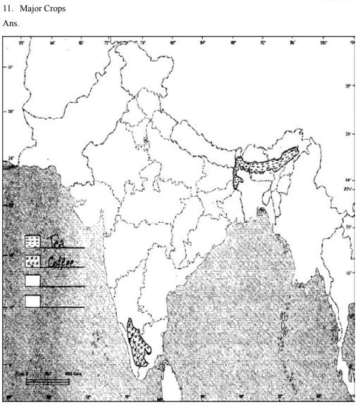 Class_12_Geography_Worksheet_21