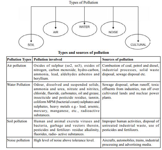 Class_12_Geography_Worksheet_37