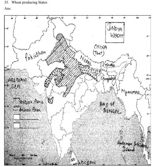 Class_12_Geography_Worksheet_7