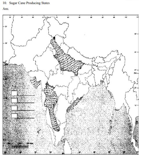 Class_12_Geography_Worksheet_8