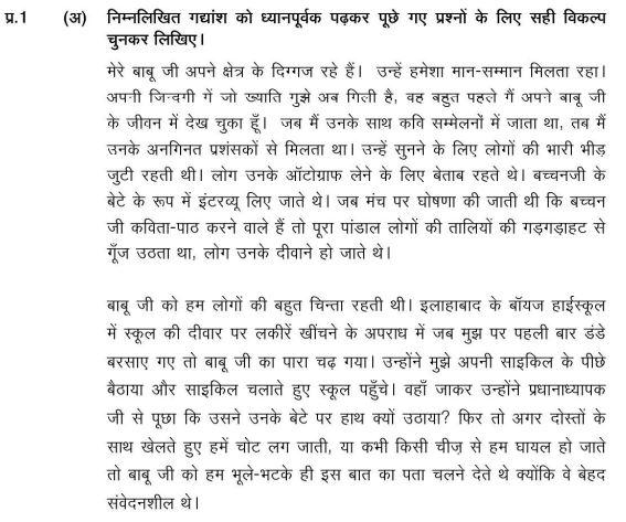 Class_8_Hindi_Sample_Paper_17