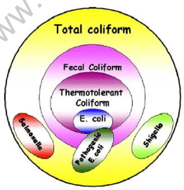 useful-resources-science-cbse-class-10-science-2