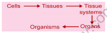 useful-resources-science-cbse-class-9-2