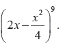 CBSE Class 11 Binomial Theorem Worksheet B3