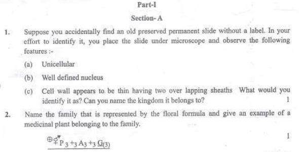 CBSE Class 11 Biology Sample Paper 2019 (1)