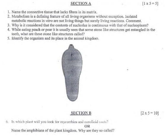 CBSE Class 11 Biology Sample Paper 2020 (1)