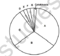 CBSE Class 11 Biology Sample Paper Set B