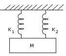 CBSE Class 11 Oscillations Worksheet C1