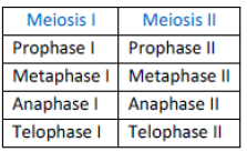 NCERT Class 11 Biology Cell Cycle and Cell Division Important Notes