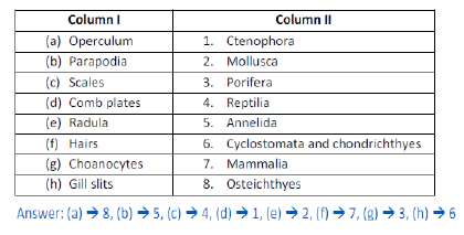 NCERT Class 11 Biology Animal Kingdom Important Notess