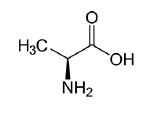 NCERT Class 11 Biology Biomolecules Important Notes