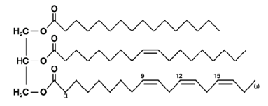 NCERT Class 11 Biology Biomolecules Important Notes1