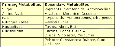 NCERT Class 11 Biology Biomolecules Important Notes10