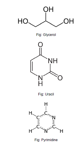 NCERT Class 11 Biology Biomolecules Important Notes2