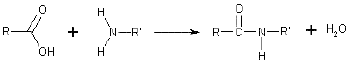 NCERT Class 11 Biology Biomolecules Important Notes7