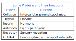 NCERT Class 11 Biology Biomolecules Important Notes9