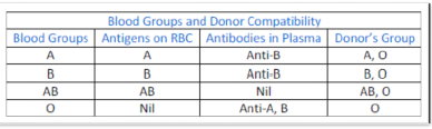 NCERT Class 11 Biology Body Fluids and Circulartion Important Notes