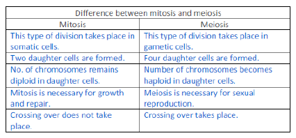NCERT Class 11 Biology Cell Cycle and Cell Division Important Notes