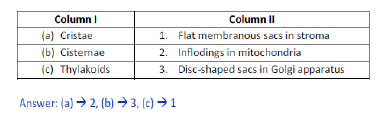 NCERT Class 11 Biology Cell Important Notes