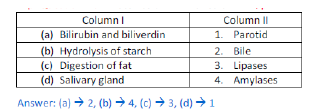 NCERT Class 11 Biology Digestion and Absorption Important Notes2