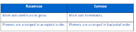 NCERT Class 11 Biology Morphology of Flowering Plants Important Notes2